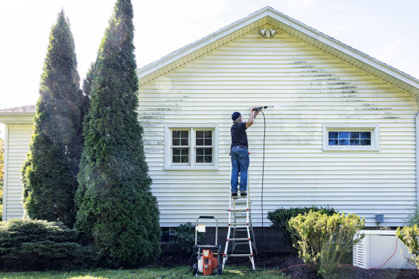 Best House Exterior Washing  in Las Quintas Fronterizas, TX